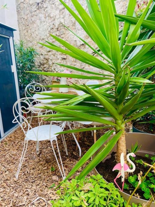 Havre De Paix Avec Jardin Et Clim En Centre Ville De Σετ Εξωτερικό φωτογραφία