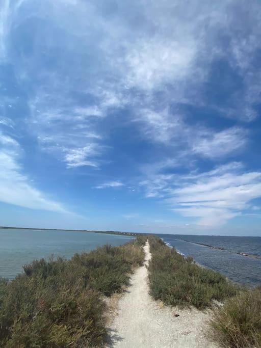 Havre De Paix Avec Jardin Et Clim En Centre Ville De Σετ Εξωτερικό φωτογραφία